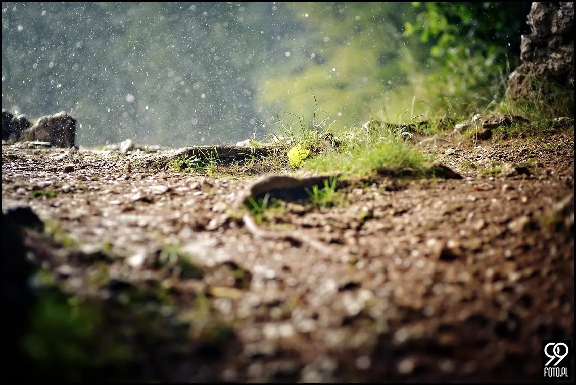 sesja narzeczeńska pieskowa skała,plener ślubny w ojcowie