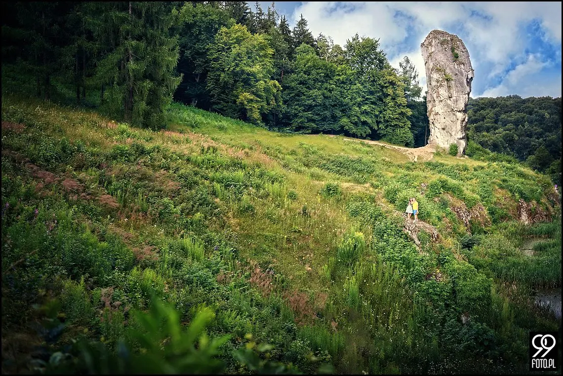 sesja narzeczeńska pieskowa skała,plener ślubny w ojcowie