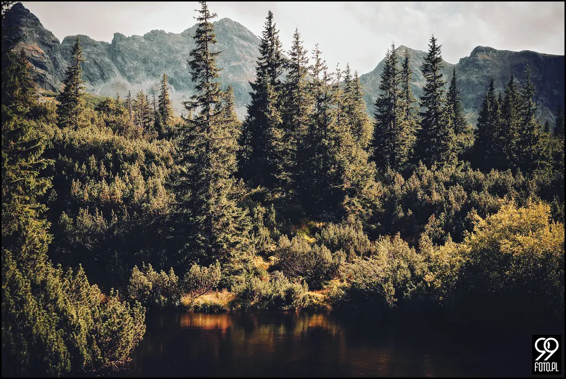 Opactwo Cystersów Mogiła, Plener ślubny Czarny Staw Gąsienicowy, Sesja zdjęciowa Kasprowy Wierch