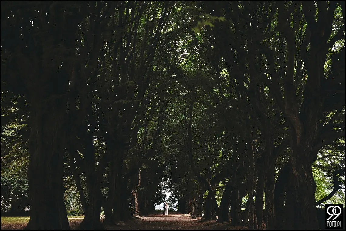 pomysł na sesję zdjęciową, ciekawe miejsca w krakowie, zdjęcia pary młodej w plenerze