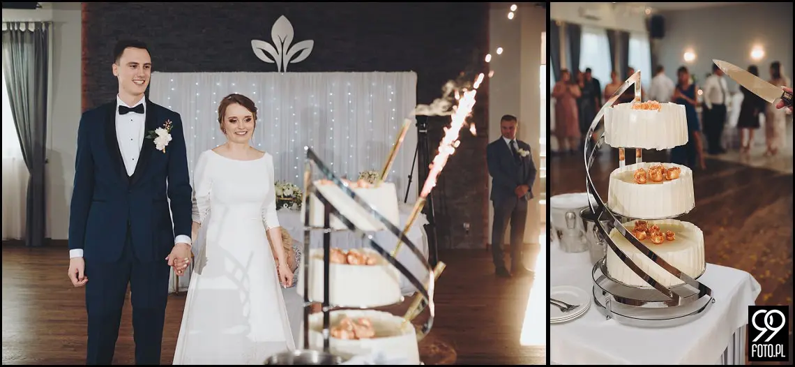 wesele Euforia Myślenice, plener Ślubny Dwór Mogilany, dobry fotograf Kraków