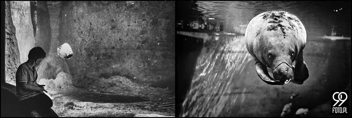 sesja rodzinna kraków,fotograf rodzinny kraków,fotografia rodzinna kraków