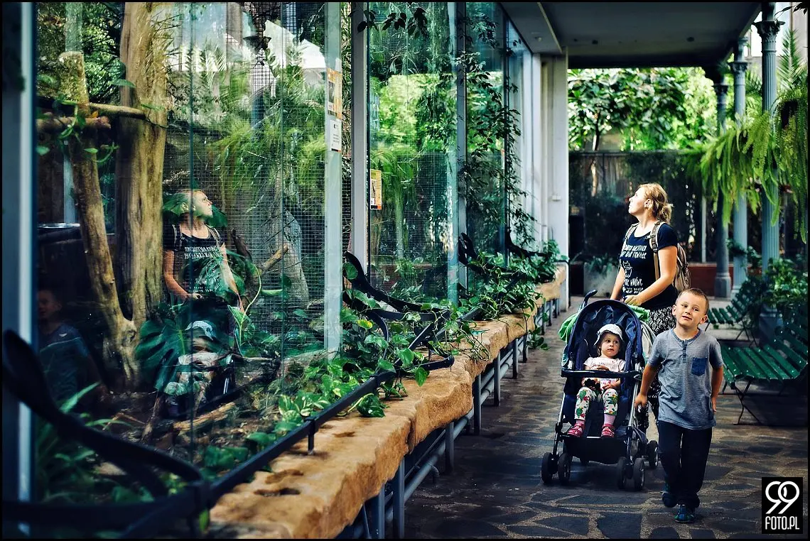 sesja rodzinna kraków,fotograf rodzinny kraków,fotografia rodzinna kraków