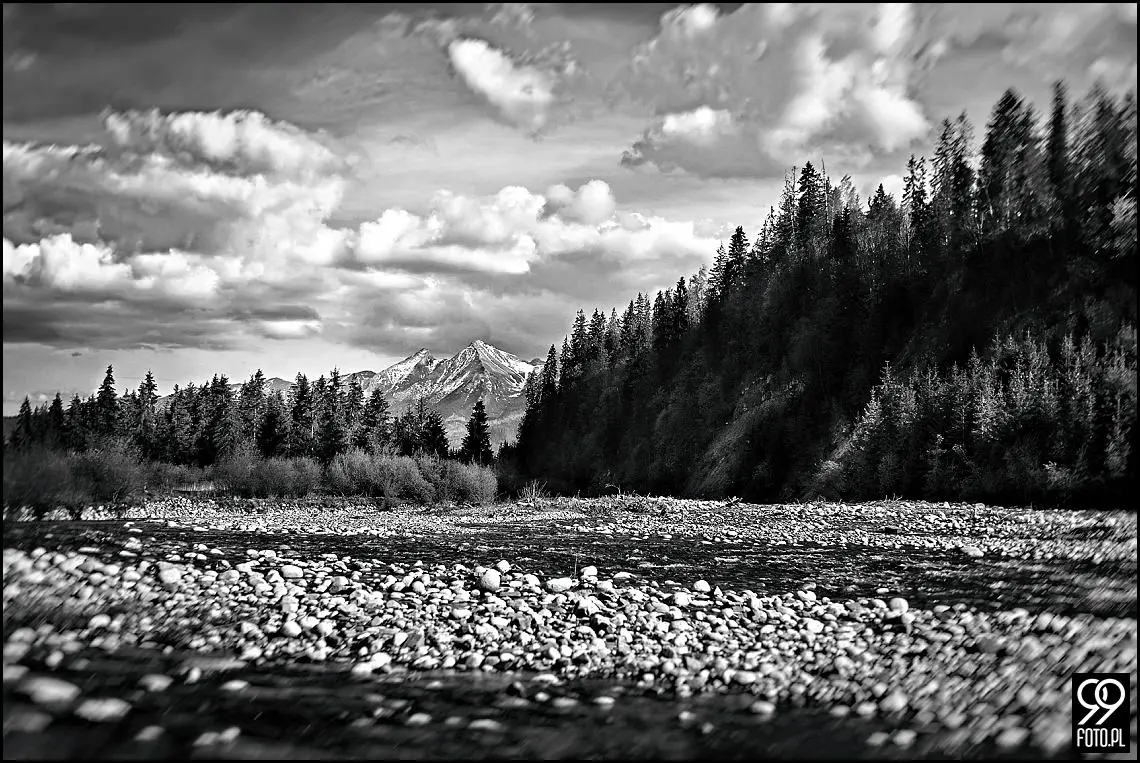 sesja ślubna kraków,plener ślubny kraków