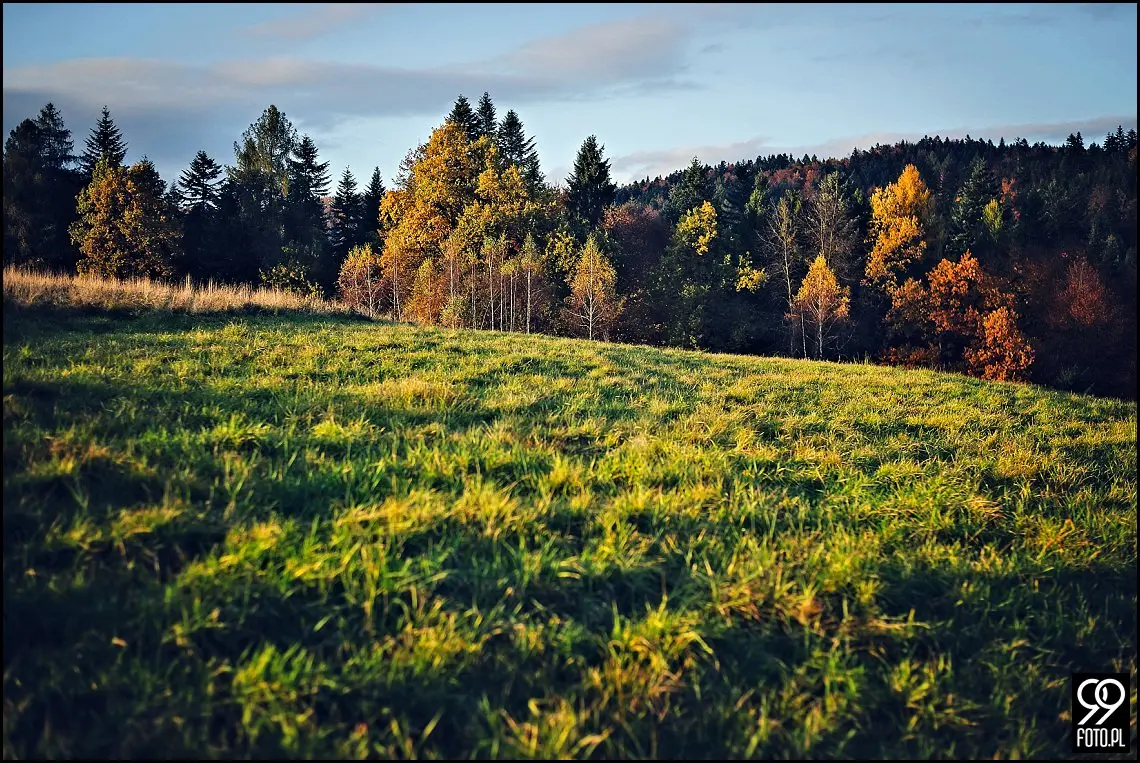 sesja ślubna park zamkowy Żywiec,sesja plenerowa w Żywcu