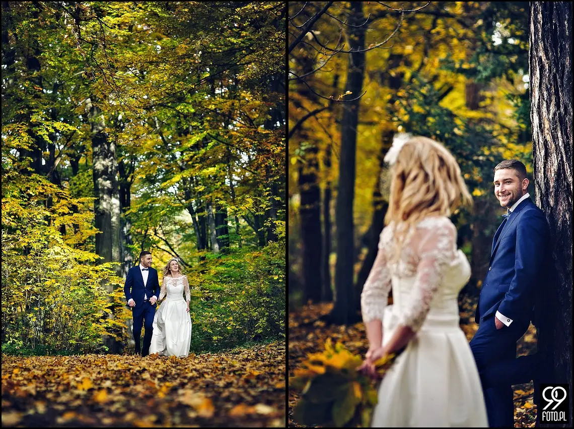 sesja ślubna pieskowa skała,plener ojców