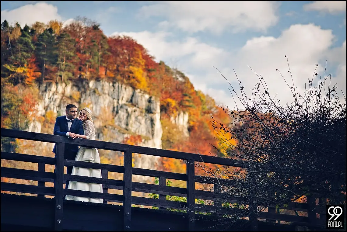 sesja ślubna pieskowa skała,plener ojców