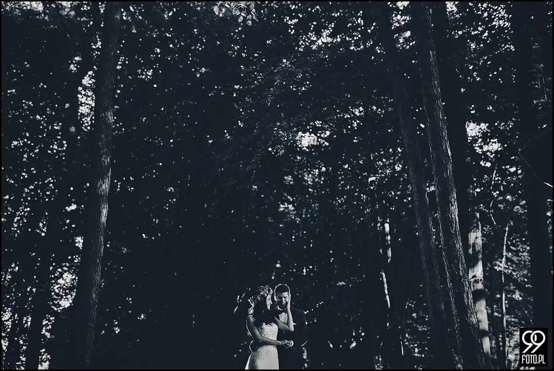 park w mogilanach,plener ślubny zakrzówek,sesja ślubna kazimierz