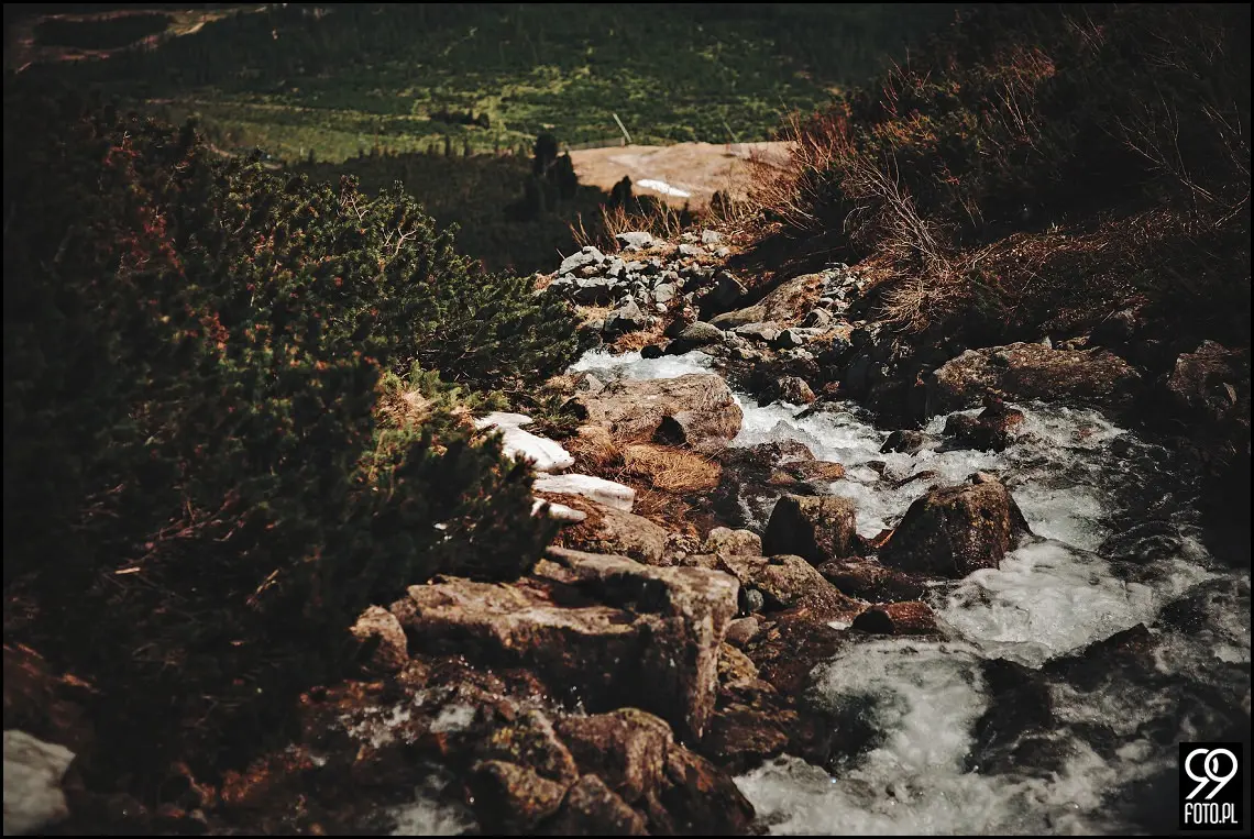 plener ślubny słowacja, sesja zdjęciowa łomnicki staw, szczyrbskie pleso