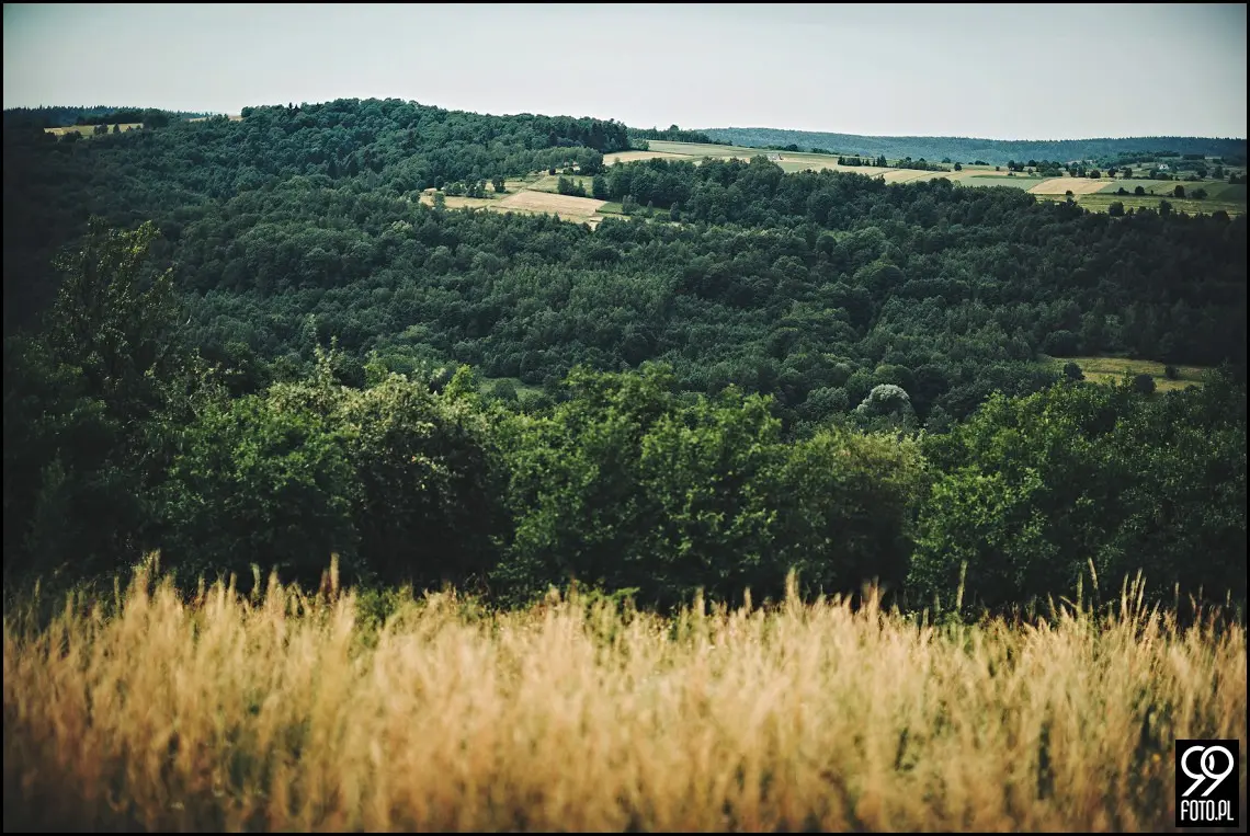 Fotograf ślubny Kalwaria Zebrzydowska, Arkadia Wadowice