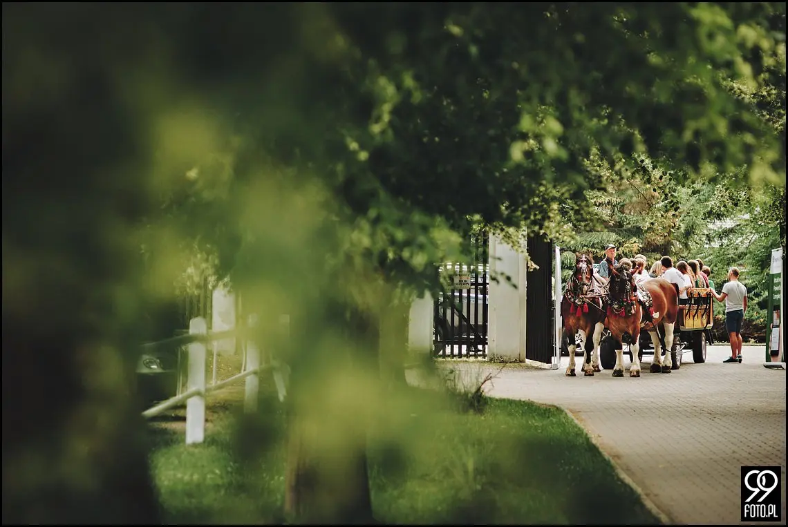 Impreza rodzinna w Stadninie Koni Botoja Korzkiew