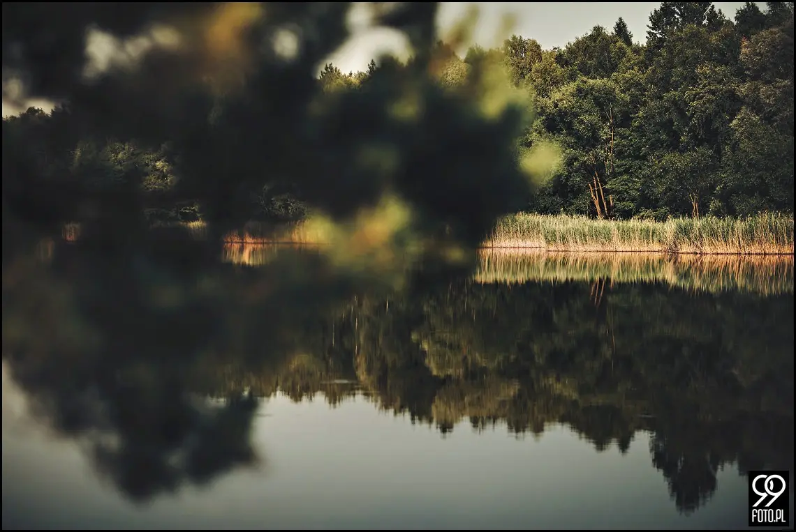 Sesja narzeczeńska w Krakowie, Nadwiślański Park Etnograficzny Wygiełzów, Zamek Lipowiec