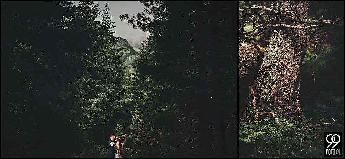 sesja ślubna Popradzki Staw, plener na Słowacji, zdjęcia nad Szczyrbskim Jeziorem