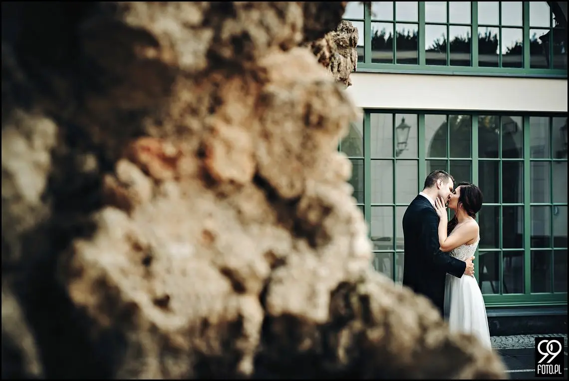 pałac goetz, pałac goetza brzesko, ślubna sesja zdjęcia, sala ślubna pałac goetz, wesele pod krakowem