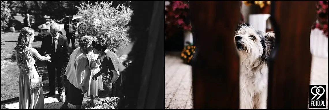 hotel zameczek książ wielki, ślubne iskierki miłości, fotograf na wesele Miechów