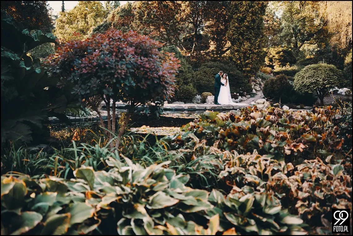plener ślubny w Ogrodzie Botanicznym, zakochani w Krakowie, ślubna sesja zdjęciowa jesienią