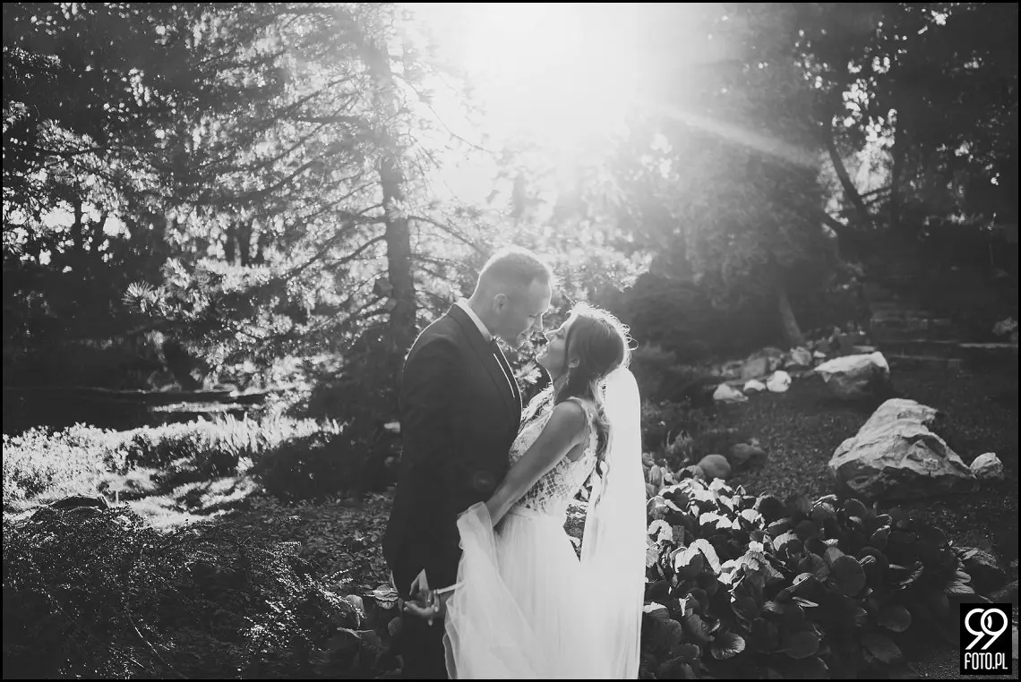 plener ślubny w Ogrodzie Botanicznym, zakochani w Krakowie, ślubna sesja zdjęciowa jesienią