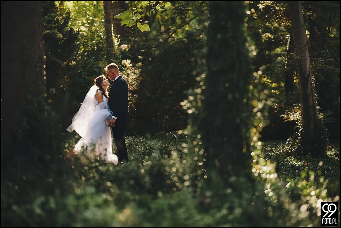 plener ślubny w Ogrodzie Botanicznym, zakochani w Krakowie, ślubna sesja zdjęciowa jesienią