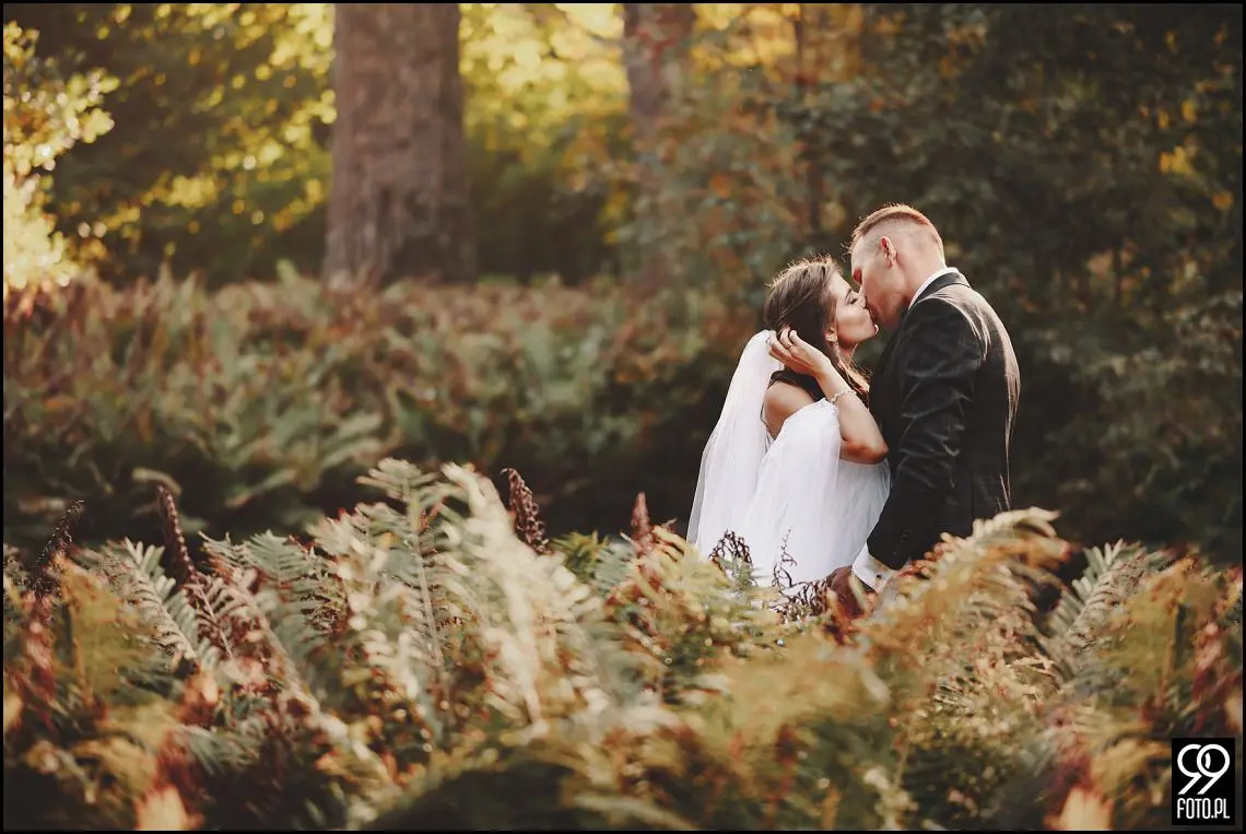 plener ślubny w Ogrodzie Botanicznym, zakochani w Krakowie, ślubna sesja zdjęciowa jesienią