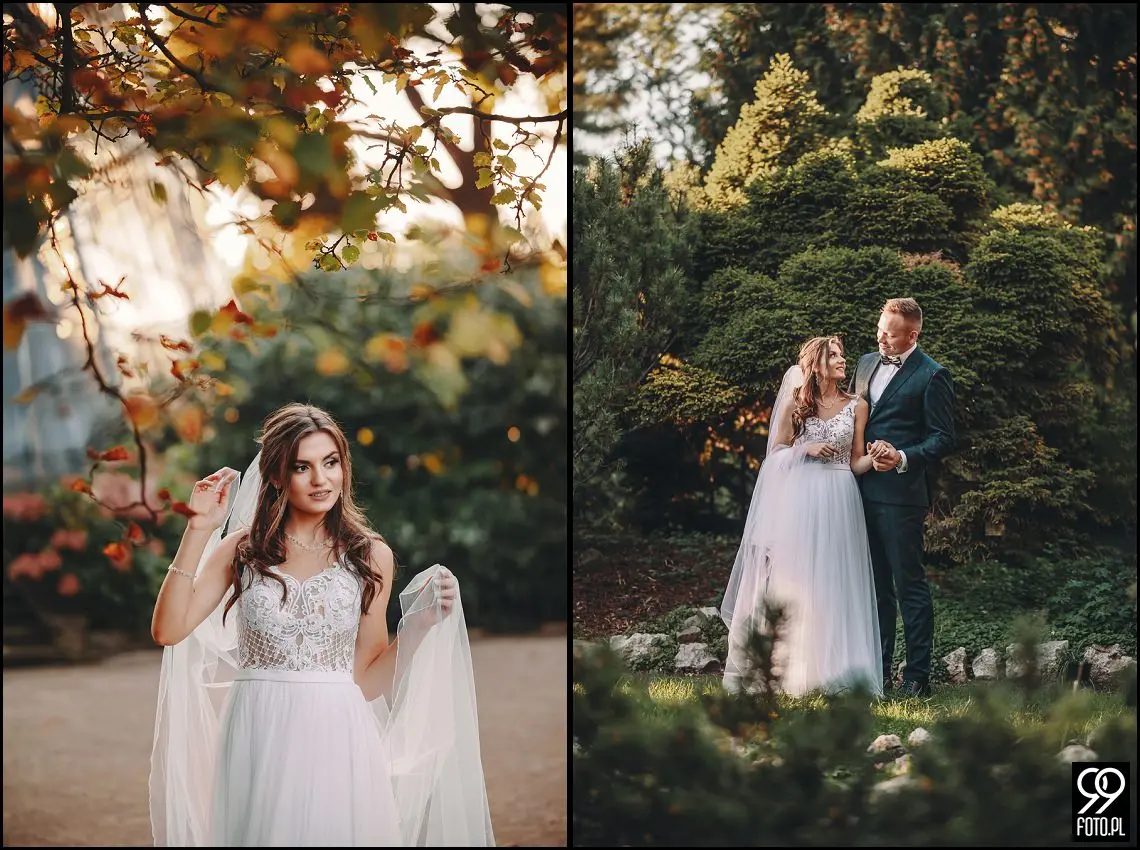 plener ślubny w Ogrodzie Botanicznym, zakochani w Krakowie, ślubna sesja zdjęciowa jesienią