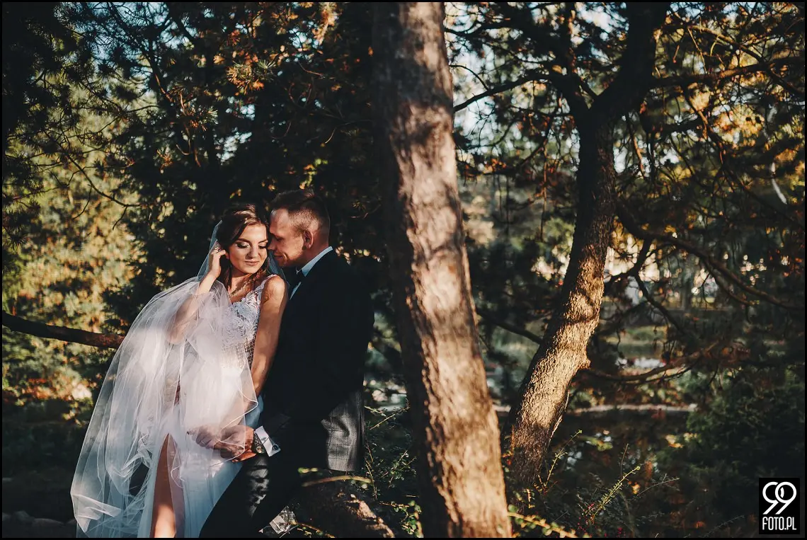 plener ślubny w Ogrodzie Botanicznym, zakochani w Krakowie, ślubna sesja zdjęciowa jesienią