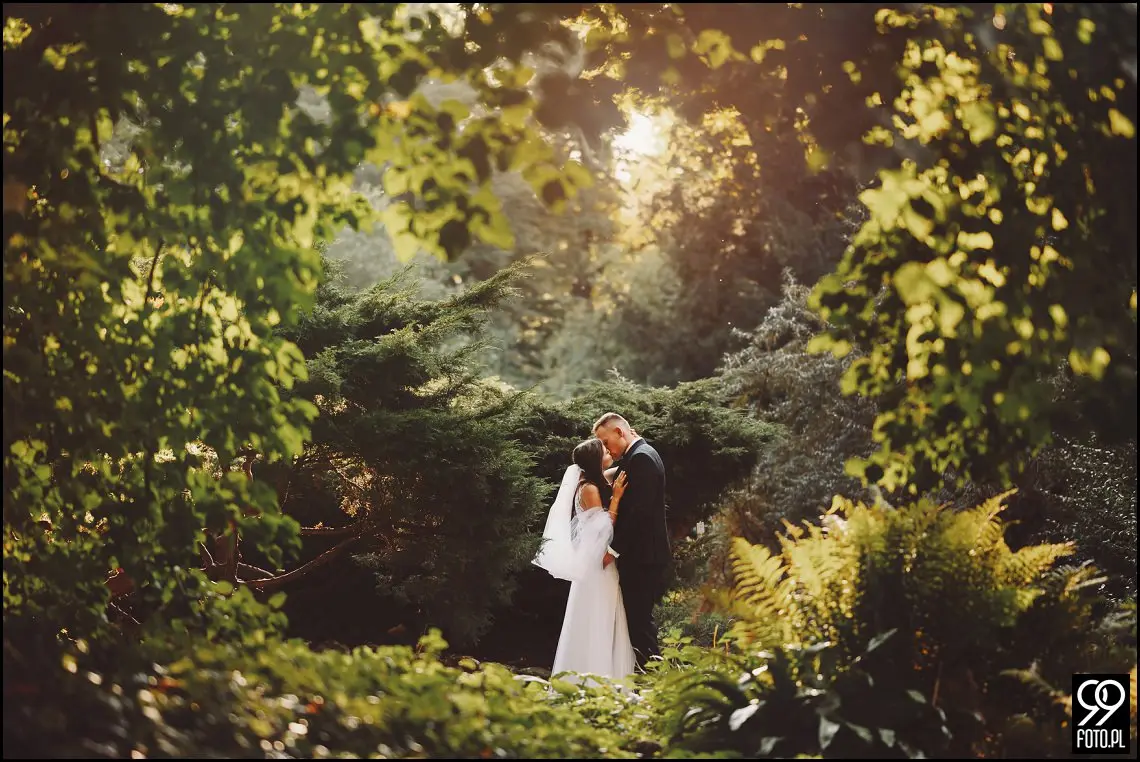 plener ślubny w Ogrodzie Botanicznym, zakochani w Krakowie, ślubna sesja zdjęciowa jesienią