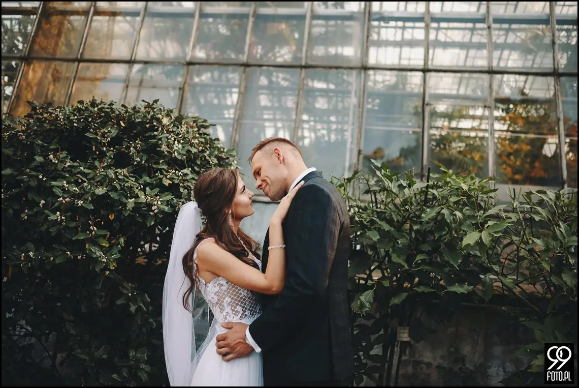 plener ślubny w Ogrodzie Botanicznym, zakochani w Krakowie, ślubna sesja zdjęciowa jesienią