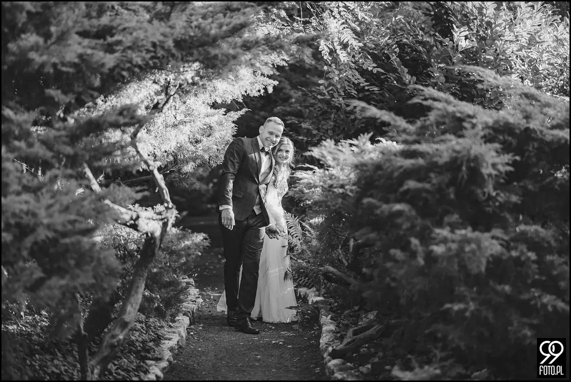 plener ślubny w Ogrodzie Botanicznym, zakochani w Krakowie, ślubna sesja zdjęciowa jesienią