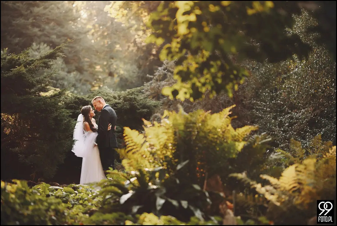 plener ślubny w Ogrodzie Botanicznym, zakochani w Krakowie, ślubna sesja zdjęciowa jesienią