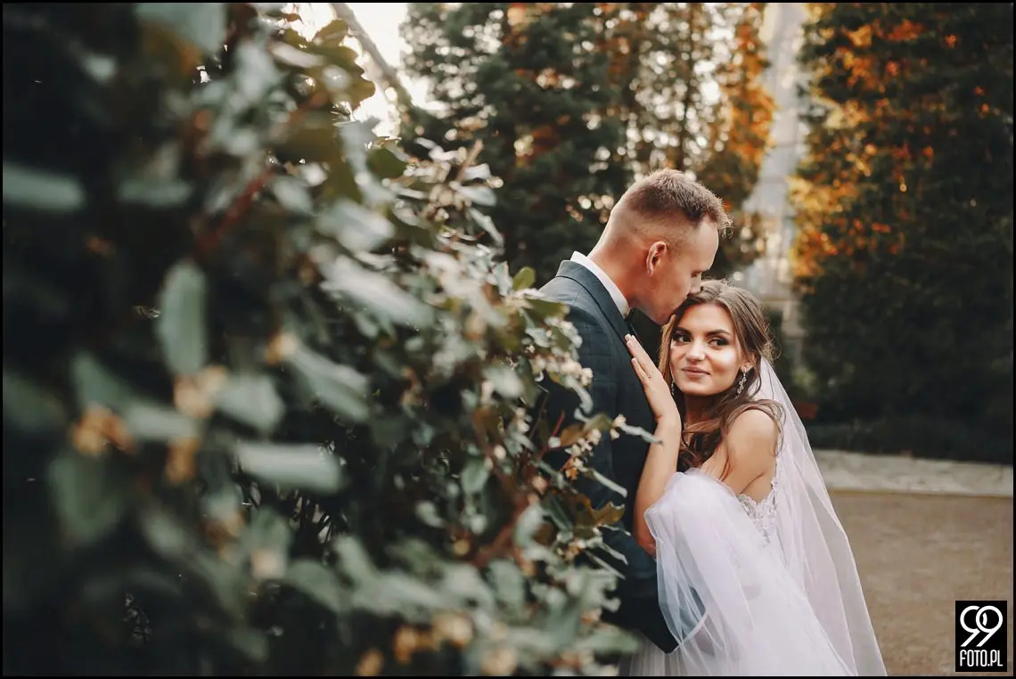 plener ślubny w Ogrodzie Botanicznym, zakochani w Krakowie, ślubna sesja zdjęciowa jesienią